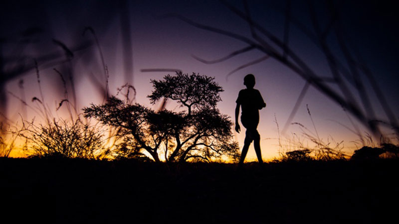 ...and the running way of life of the Bushmen in the Kalahari